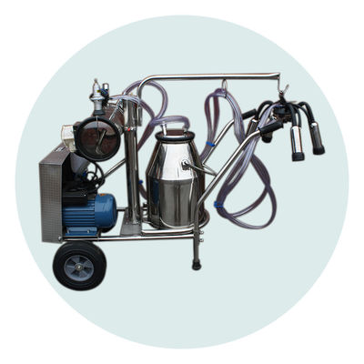 Áp suất âm 170L / phút Máy vắt sữa bò Vật liệu SS304