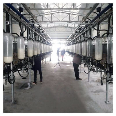 Tiệm vắt sữa xương cá 2100L chân không tự động với chức năng Sunction