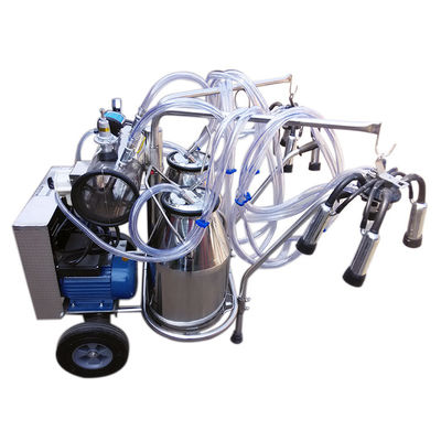Máy vắt sữa dê bò một thùng Camel chạy bằng pin