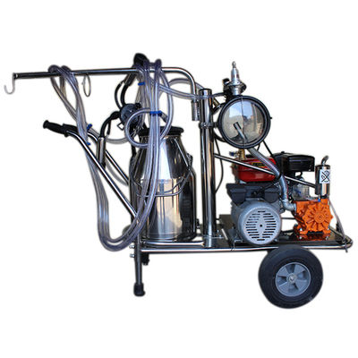 Máy vắt sữa xô đơn 50KPa với động cơ xăng