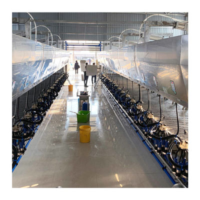 Loại phát hành nhanh ISO9001 Abreast Milking Parlour with Electronic Metering