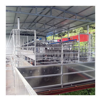 Hệ thống vắt sữa tự động Sheep 100 Points Herringbone Milking Parlour
