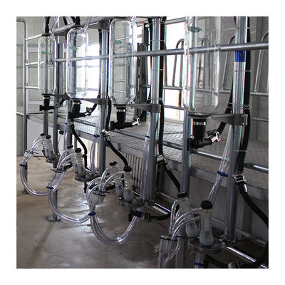 Hệ thống vắt sữa tự động Sheep 100 Points Herringbone Milking Parlour