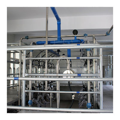 Tiệm vắt sữa xương cá 2100L chân không tự động với chức năng Sunction