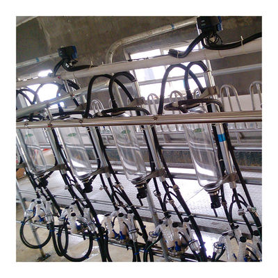 Tiệm vắt sữa xương cá 2100L chân không tự động với chức năng Sunction