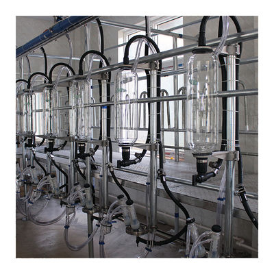 Tiệm vắt sữa xương cá 2100L chân không tự động với chức năng Sunction