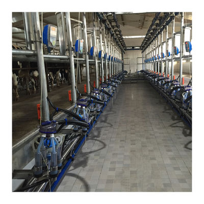 Máy vắt sữa xương cá chân không 50KPa 2.2kw cho trang trại bò sữa