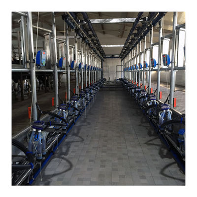 Máy vắt sữa xương cá chân không 50KPa 2.2kw cho trang trại bò sữa