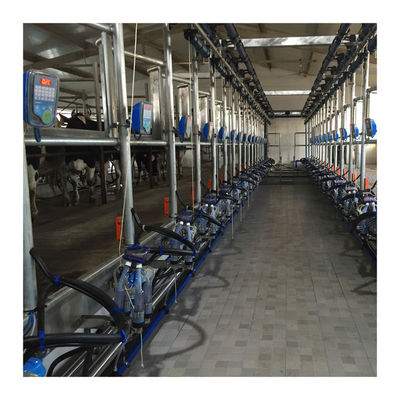 Máy vắt sữa xương cá chân không 50KPa 2.2kw cho trang trại bò sữa