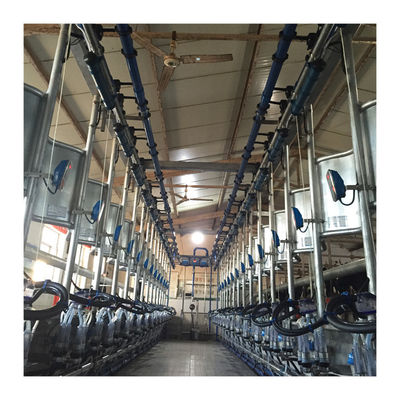 Máy vắt sữa xương cá chân không 50KPa 2.2kw cho trang trại bò sữa