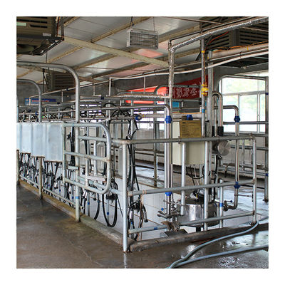 Big 110v 20 quầy hàng sữa xương cá cho bò vắt sữa