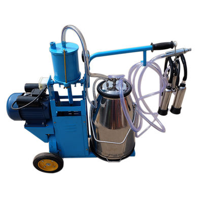 Máy vắt sữa Piston 110V 12 bò / Hr cho trang trại bò sữa