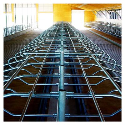200cm miễn phí quầy hàng Barn Ống tròn mạ kẽm và ống stell cho bò