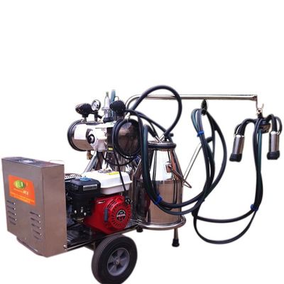 Máy vắt sữa cầm tay 220L / phút Hai xô điện cho dê