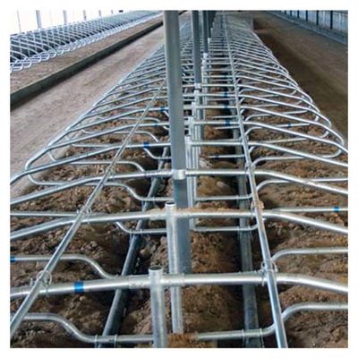 Chiều dài 2,3m Chuồng nuôi bò tự do Chuồng thịt mảnh Màu sắc hai mặt