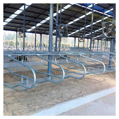 Chiều dài 2,3m Chuồng nuôi bò tự do Chuồng thịt mảnh Màu sắc hai mặt
