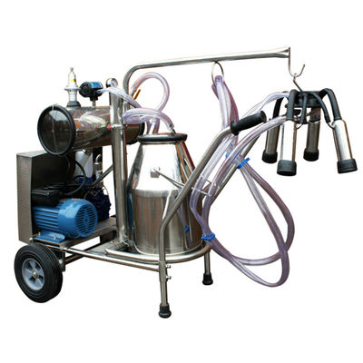 Di động 12 con bò / giờ Máy vắt sữa di động Bơm chân không Công suất 1.1KW