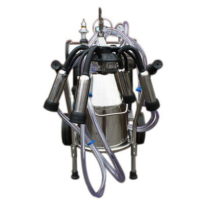 Di động 12 con bò / giờ Máy vắt sữa di động Bơm chân không Công suất 1.1KW