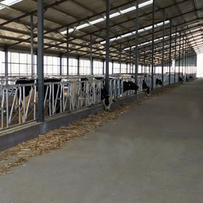 Chiều dài mạ kẽm nóng 6m Ống bịt đầu gia súc Ống chống ăn mòn