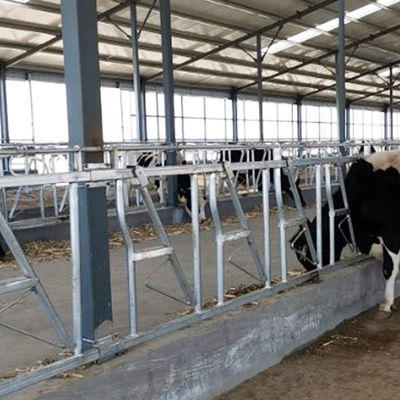 0,4m / Khóa đầu bò