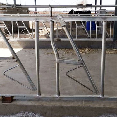 Dễ dàng lắp đặt Khóa đầu bò 75cm Chiều rộng dễ dàng Chốt cài chắc chắn
