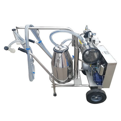 Máy vắt sữa tự động 24cows / H SS304 Thiết bị vắt sữa cừu