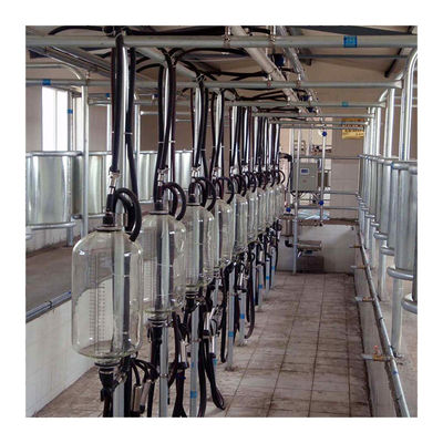 Dairy Farm 4KW Herringbone vắt sữa bằng thủy tinh cấp thực phẩm