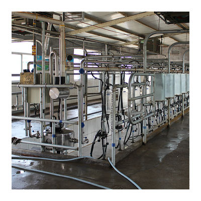 Dairy Farm 4KW Herringbone vắt sữa bằng thủy tinh cấp thực phẩm
