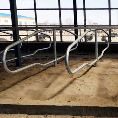 Ống thép không gỉ mạ kẽm Quầy hàng miễn phí cho bò Kiểu hàng đơn