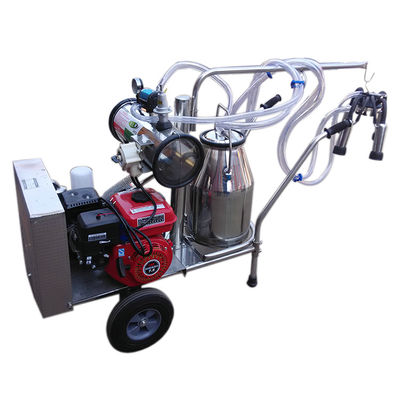 Máy vắt sữa trâu bò chạy xăng Đơn con lừa cầm tay Thổ Nhĩ Kỳ