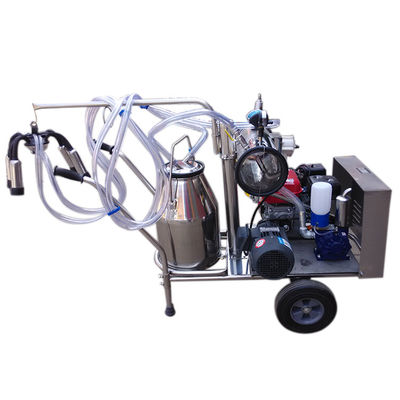 Máy vắt sữa trâu bò chạy xăng Đơn con lừa cầm tay Thổ Nhĩ Kỳ