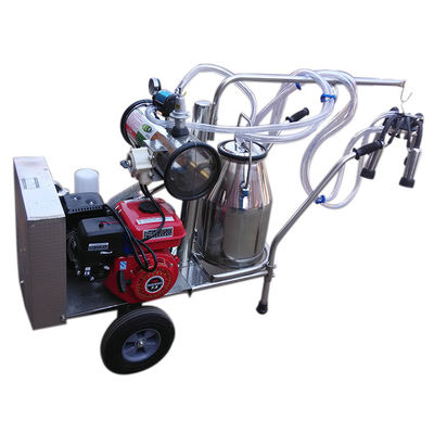 Máy vắt sữa trâu bò chạy xăng Đơn con lừa cầm tay Thổ Nhĩ Kỳ