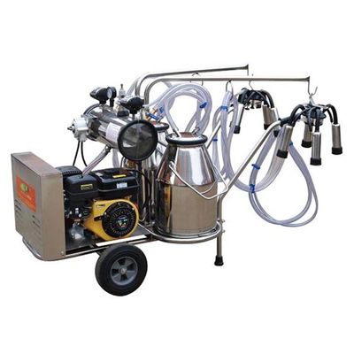 Trang trại bò sữa Máy vắt sữa dê diesel tự động chạy điện 2 xô