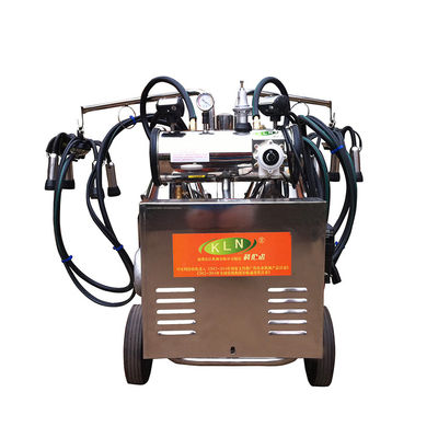 Trang trại bò sữa Máy vắt sữa dê diesel tự động chạy điện 2 xô