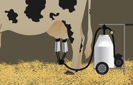 Động cơ diesel Máy vắt sữa di động Bò điện Máy hút sữa dê điện