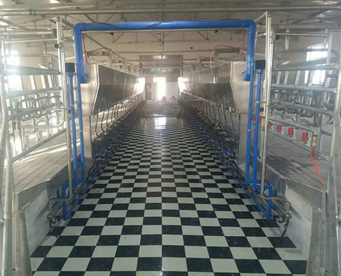 Nhà máy Dê Bò Vắt sữa Cá trích Thiết bị đo điện tử