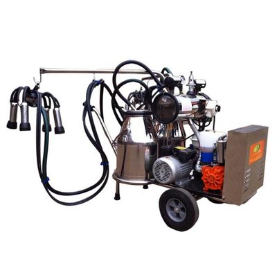 Các bộ phận Delaval bằng thép không gỉ cho Máy vắt sữa bò chạy xăng 50kpa