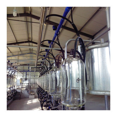 24-100 điểm Máy vắt sữa bò hiệu quả cao Máy trang trại bò sữa