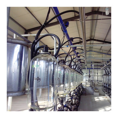 24-100 điểm Máy vắt sữa bò hiệu quả cao Máy trang trại bò sữa