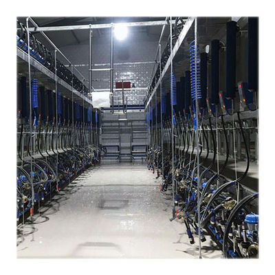 Máy vắt sữa bò ACR Hệ thống vắt sữa tự động Trang trại bò sữa