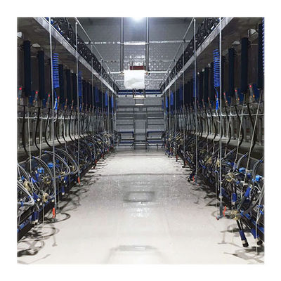 Máy vắt sữa bò ACR Hệ thống vắt sữa tự động Trang trại bò sữa