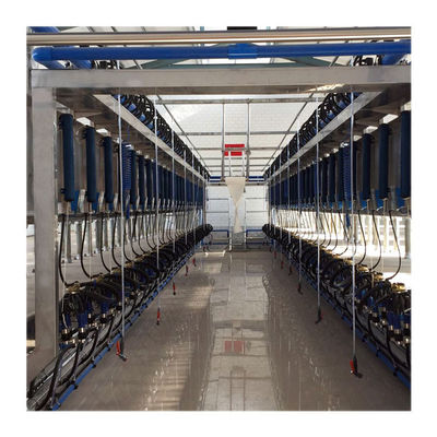 Máy vắt sữa bò ACR Hệ thống vắt sữa tự động Trang trại bò sữa