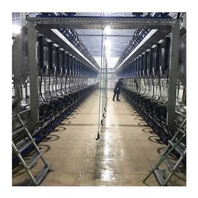 Máy vắt sữa bò ACR Hệ thống vắt sữa tự động Trang trại bò sữa