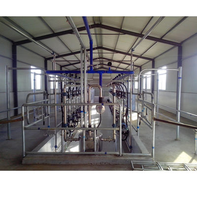 Thiết bị trang trại bò sữa tự động Thiết bị vắt sữa xương cá Nhà máy vắt sữa dê Máy bò