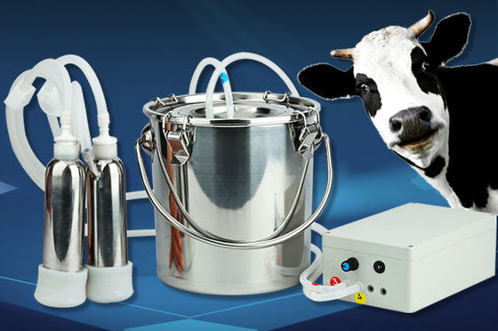 Máy vắt sữa bò bằng thép không gỉ cầm tay bằng điện gia cố cho tuổi thọ lâu hơn
