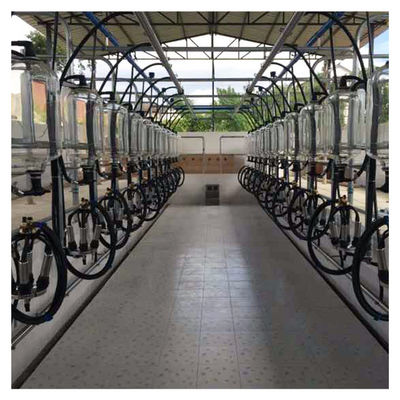 Trang trại bò sữa Dê Bò Xương cá Vắt sữa Hệ thống đo lường chai thủy tinh