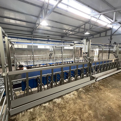Đồng hồ điện kỹ thuật số Cừu Dê vắt sữa Thiết bị điều kiện mới