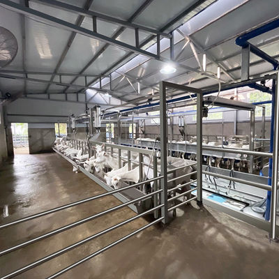 Đồng hồ điện kỹ thuật số Cừu Dê vắt sữa Thiết bị điều kiện mới