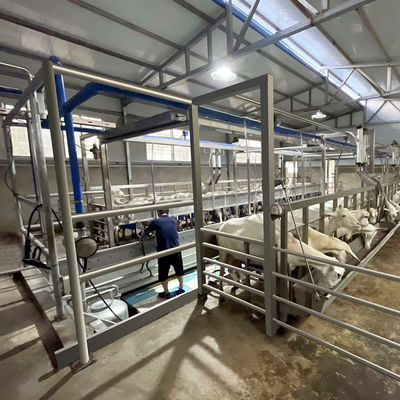 SUS304 Xương cá Dê Vắt sữa Phòng cho ăn Máng ăn Loại thoát nhanh Đường ống