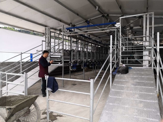 Trang trại bò sữa Máy vắt sữa dê Hệ thống vắt sữa bằng thép không gỉ